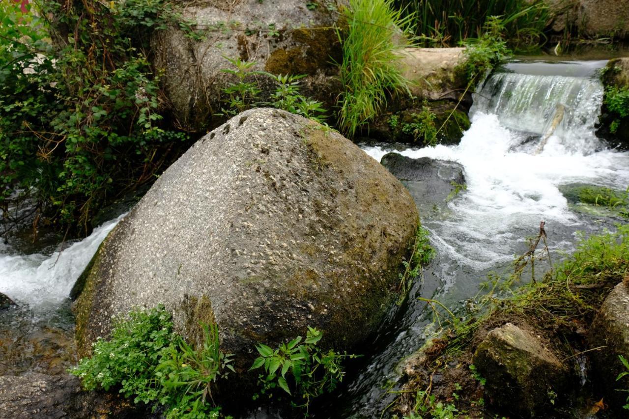 Refugio House Natura Moinho De Agua - Eco House Гімарайнш Екстер'єр фото